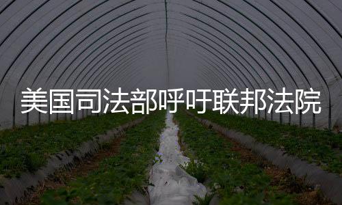 美國司法部呼吁聯(lián)邦法院強制谷歌出售Chrome業(yè)務：認定非法壟斷