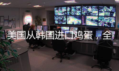 美國從韓國進(jìn)口雞蛋，全球禽蛋貿(mào)易的新動態(tài)