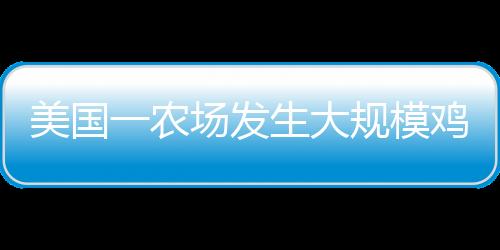 美國一農(nóng)場發(fā)生大規(guī)模雞蛋失竊案，逾十萬枚雞蛋被盜，警方展開調(diào)查