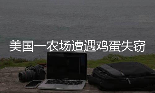 美國一農(nóng)場遭遇雞蛋失竊案，十萬枚雞蛋神秘消失