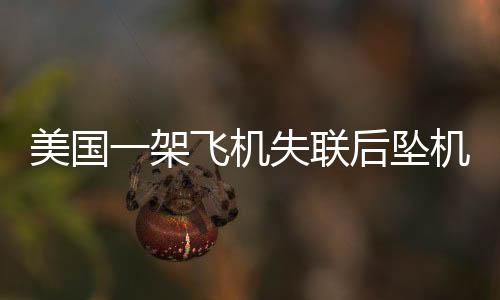 美國一架飛機(jī)失聯(lián)后墜機(jī)，造成十人遇難