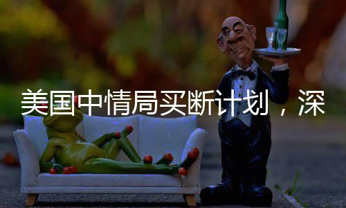 美國中情局買斷計劃，深度解析與影響評估