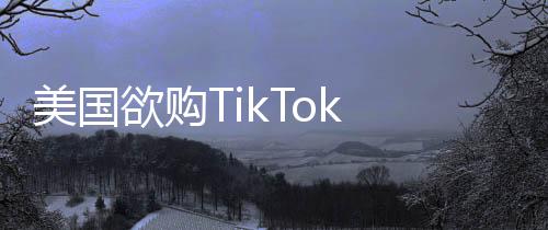 美國欲購TikTok 50%股份遭商務(wù)部回應(yīng)，數(shù)據(jù)安全與市場公平性的重要考量
