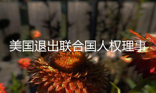 美國退出聯(lián)合國人權(quán)理事會，全球視角下的深層影響