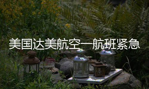 美國達美航空一航班緊急返航事件