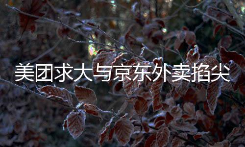 美團(tuán)求大與京東外賣掐尖，兩大巨頭競(jìng)爭(zhēng)態(tài)勢(shì)分析