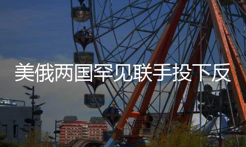 美俄兩國罕見聯(lián)手投下反對票，美媒驚呼，全球格局新變化？