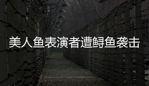 美人魚表演者遭鱘魚襲擊 景區(qū)回應(yīng)