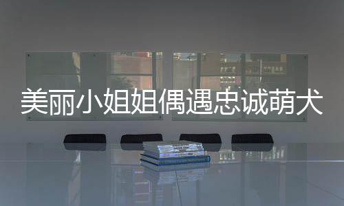 美麗小姐姐偶遇忠誠萌犬，深情夸贊引發(fā)意外碰瓷事件