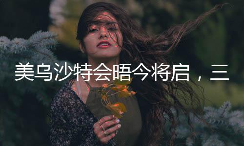 美烏沙特會晤今將啟，三國合作邁向新篇章