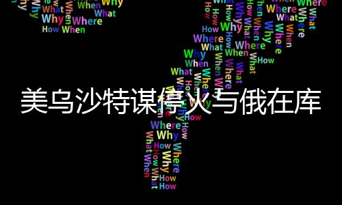 美烏沙特謀停火與俄在庫爾斯克猛攻，國際局勢深度解析