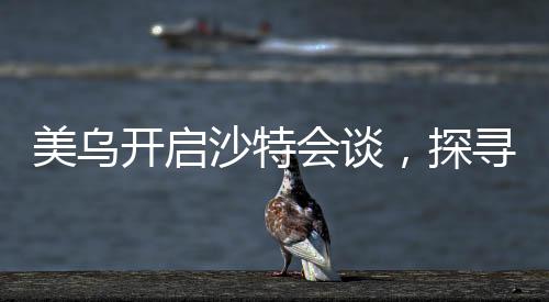 美烏開(kāi)啟沙特會(huì)談，探尋雙邊關(guān)系的未來(lái)走向