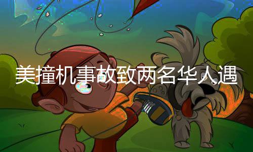 美撞機(jī)事故致兩名華人遇難，事故詳情及后續(xù)關(guān)注