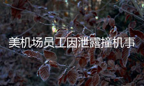 美機(jī)場(chǎng)員工因泄露撞機(jī)事故視頻被捕，引發(fā)社會(huì)關(guān)注與討論