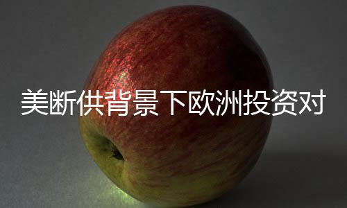 美斷供背景下歐洲投資對烏克蘭持久性的影響分析