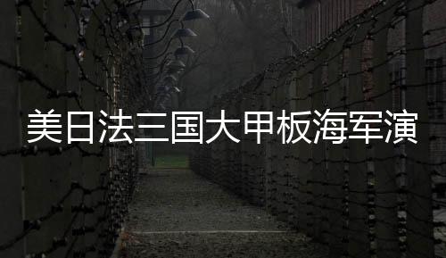 美日法三國大甲板海軍演習圓滿結(jié)束，三國海軍力量展示與合作深化