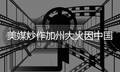 美媒炒作加州大火因中國人引發(fā)遭輿論猛烈批判