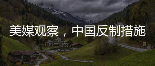 美媒觀察，中國(guó)反制措施越來(lái)越顯現(xiàn)美國(guó)特色