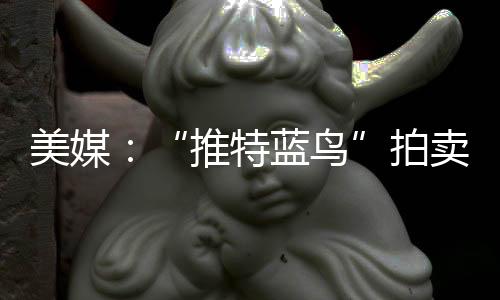 美媒：“推特藍(lán)鳥”拍賣價約為3.5萬美元