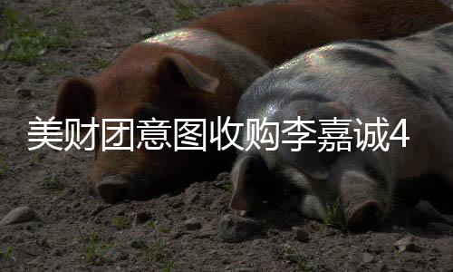 美財團(tuán)意圖收購李嘉誠43個港口，究竟有何圖謀？