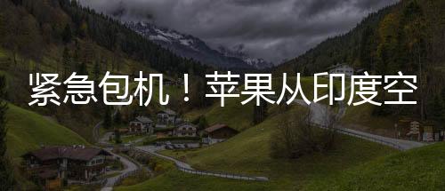 緊急包機(jī)！蘋果從印度空運(yùn)600噸iPhone