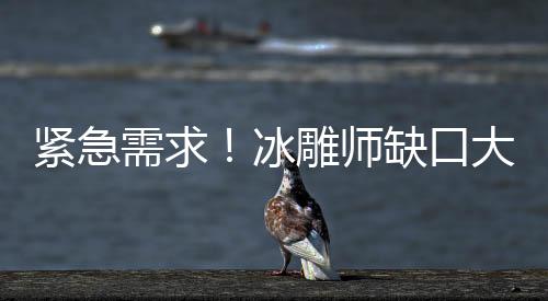 緊急需求！冰雕師缺口大，日薪高達(dá)3500元！