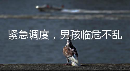 緊急調(diào)度，男孩臨危不亂，在家為母親接生，120調(diào)度員的遠(yuǎn)程指導(dǎo)顯成效
