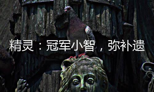 精靈：冠軍小智，彌補(bǔ)遺憾就變強(qiáng)