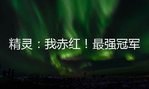 精靈：我赤紅！最強(qiáng)冠軍！