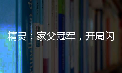 精靈：家父冠軍，開局閃光巨金怪