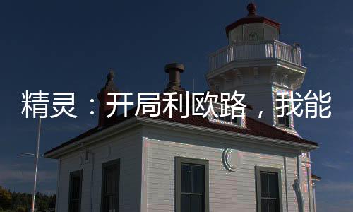 精靈：開局利歐路，我能升級詞條