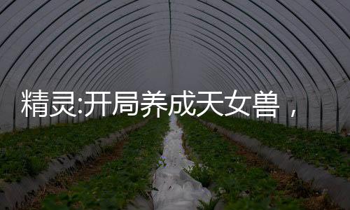精靈:開局養(yǎng)成天女獸，擇日成親
