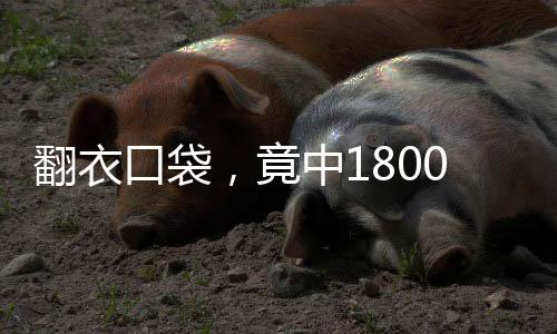翻衣口袋，竟中1800萬大獎！驚人幸運故事揭秘