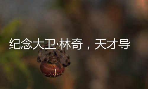 紀(jì)念大衛(wèi)·林奇，天才導(dǎo)演的離世