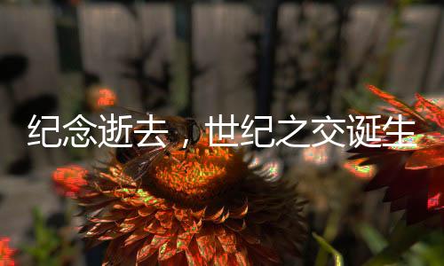 紀(jì)念逝去，世紀(jì)之交誕生的生命離世哀悼