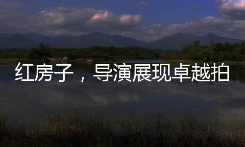 紅房子，導(dǎo)演展現(xiàn)卓越拍攝才華