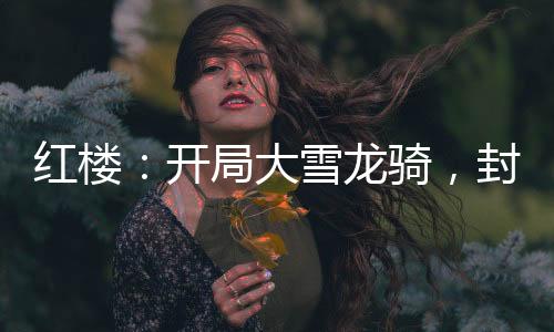 紅樓：開局大雪龍騎，封狼居胥
