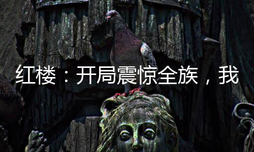 紅樓：開(kāi)局震驚全族，我悟性逆天