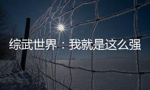 綜武世界：我就是這么強(qiáng)大