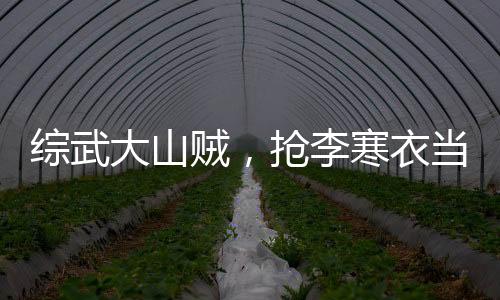 綜武大山賊，搶李寒衣當(dāng)壓寨夫人