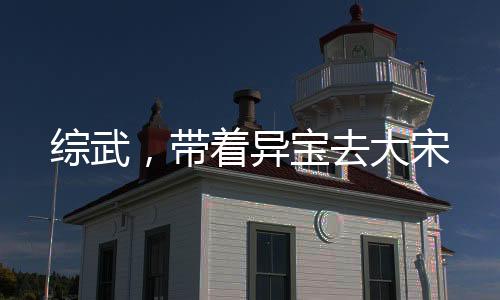 綜武，帶著異寶去大宋