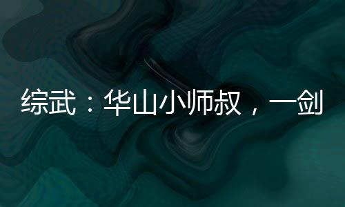 綜武：華山小師叔，一劍壓天下