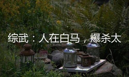 綜武：人在白馬，爆殺太安帝！