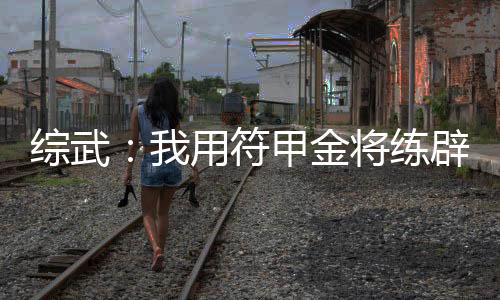 綜武：我用符甲金將練辟邪劍法
