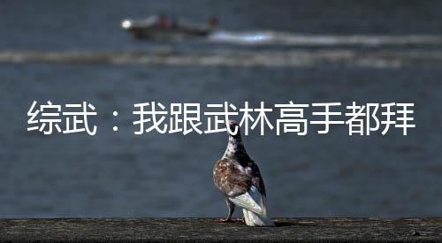 綜武：我跟武林高手都拜了把子
