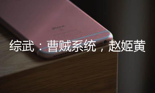 綜武：曹賊系統(tǒng)，趙姬黃蓉潘金蓮