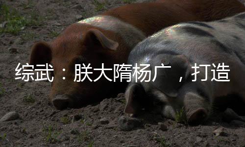 綜武：朕大隋楊廣，打造至高天庭