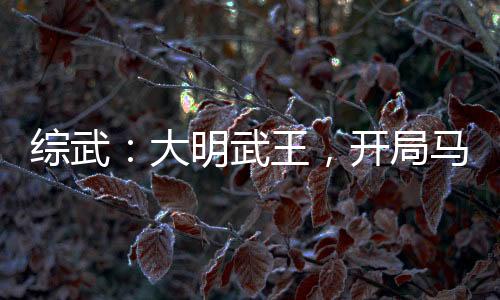 綜武：大明武王，開局馬踏移花宮