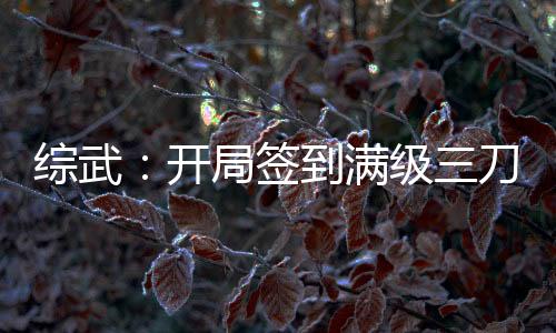 綜武：開局簽到滿級三刀流