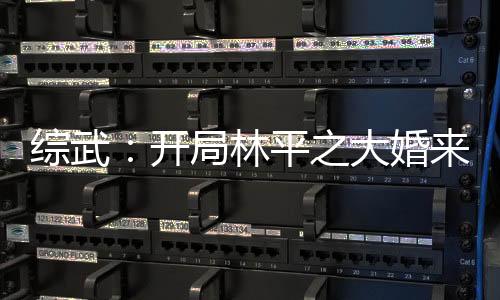 綜武：開局林平之大婚來求經(jīng)